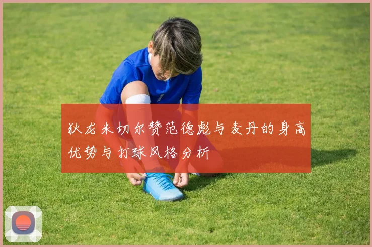 狄龙米切尔赞范德彪与麦丹的身高优势与打球风格分析